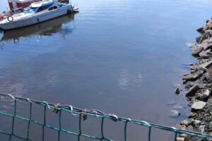 Выше Балаково зафиксирован разлив нефтепродуктов из-за затонувшего судна