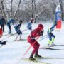 Лыжные гонки в балаковской сторонке. Полный список победителей