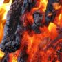 Под Балаково сгорел дачный домик