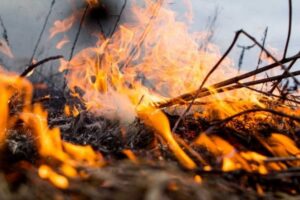 Пять раз за сутки в Балаково вызывали пожарных