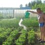 Николай Панков жёстко высказался о цене на воду в балаковских сёлах