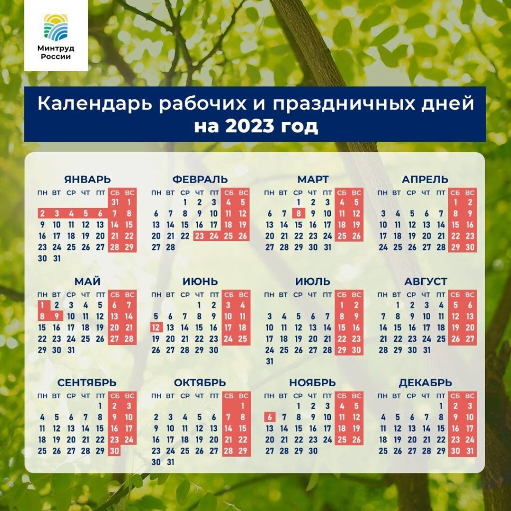 календарь стрижек на ноябрь 2023