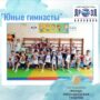 В новом учебном году в детском саду №19 «Светлячок» стартовала реализация проекта «Юные гимнасты»