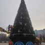 В парке «Центральный» завершили установку новогодней ели
