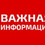 Балаковцев-участников СВО и их родных примет глава района