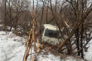 Под Вольском пассажирский автобус улетел в кювет. Пострадали дети