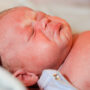 В Балакове родились два десятка малышей