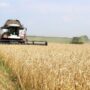 Балаковские фермеры собрали первые 100 тысяч тонн зерна 