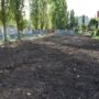 В Балакове восстановили коллектор, в котором погиб восьмилетний мальчик