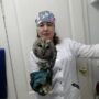 Ветеринары спасли совенка с поврежденным крылом