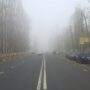 Туманы на трассе. На дорогах рядом с Балаково сложные погодные условия