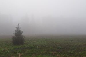 Балаково накрыл густой туман. ФОТО
