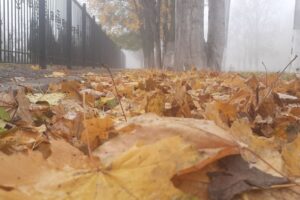 К выходным в Балаково ожидается заметное потепление