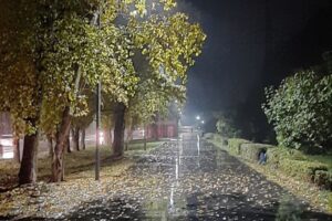 Осень вступает в силу: балаковцев ждут дожди и первые заморозки