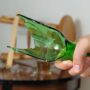 Гостья из Перми порезала жительнице Балаково лицо