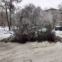 В Балаково троллейбусы остановились из-за наледи. Падают ветки и деревья