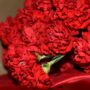 Балаковец Александр Гатеж погиб на СВО