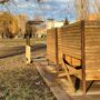 Балаковские власти не заметили вандализм на городском пляже?