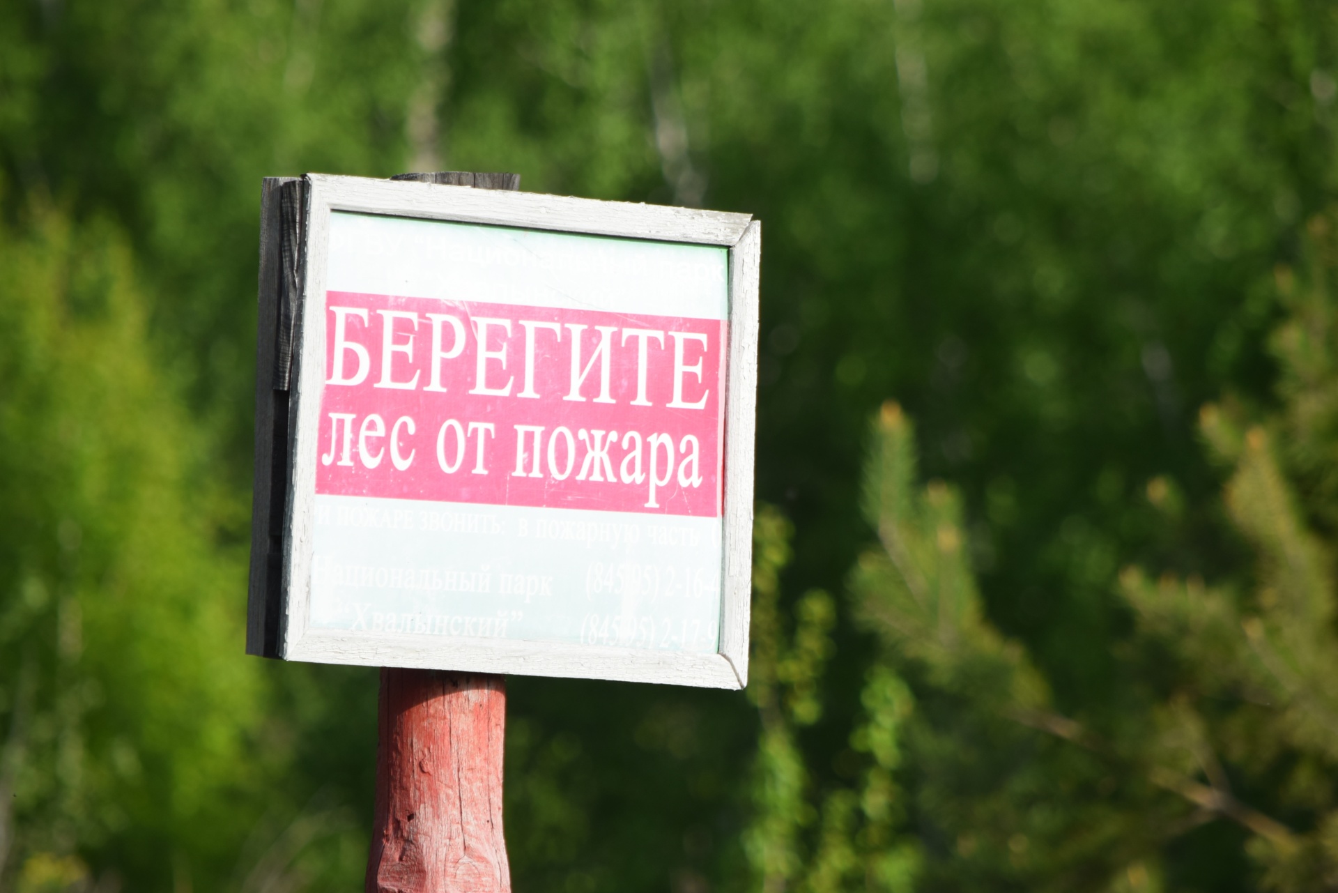 В регионе ввели особый противопожарный режим - Балаково.Онлайн - Все  новости Балаково