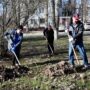 Большой субботник пройдет в Саратовской области
