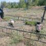 Власти Балаково обратились в полицию по факту вандализма на кладбище