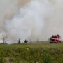 Рядом с Балаково тлеет поле с рассыпанной лузгой