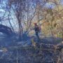 Горим! Ситуация с ландшафтными пожарами остается напряженной