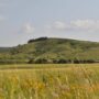 Погода на неделе в регионе будет дождливой с грозами