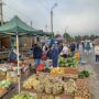 В Балаково открываются ярмарки сельскохозяйственной продукции