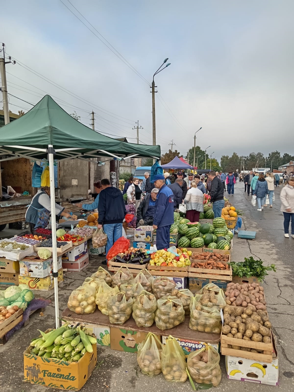 В Балаково заработали ежедневные сельхозярмарки