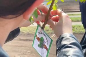 В Балаково высадили 90 новых деревьев в честь героев Великой Отечественной войны