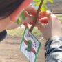 В Балаково высадили 90 новых деревьев в честь героев Великой Отечественной войны