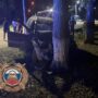 Ночью в Балаково «Ларгус» врезался в дерево. Два человека пострадали