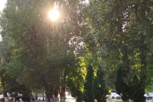 Без дождя не обойдётся. Погода на вторник, 22 июля