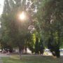 Без дождя не обойдётся. Погода на вторник, 22 июля