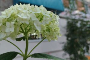 Синоптики обещают дождь. Погода на среду, 16 июля