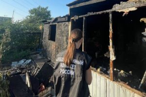 Подробности пожара под Балаково, который унес жизни матери и двоих детей