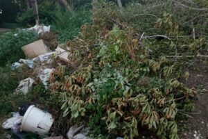 Балаковцы продолжают жаловаться на вывоз мусора и перебои с горячей водой