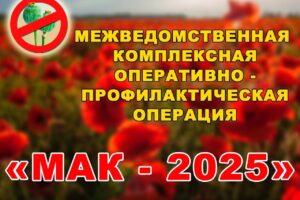 Балаковские полицейские подвели итоги второго этапа операции «Мак-2025»