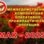 Балаковские полицейские подвели итоги второго этапа операции «Мак-2025»