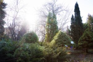 Более 2900 саратовцев посетили обновлённый Ботсад СГУ