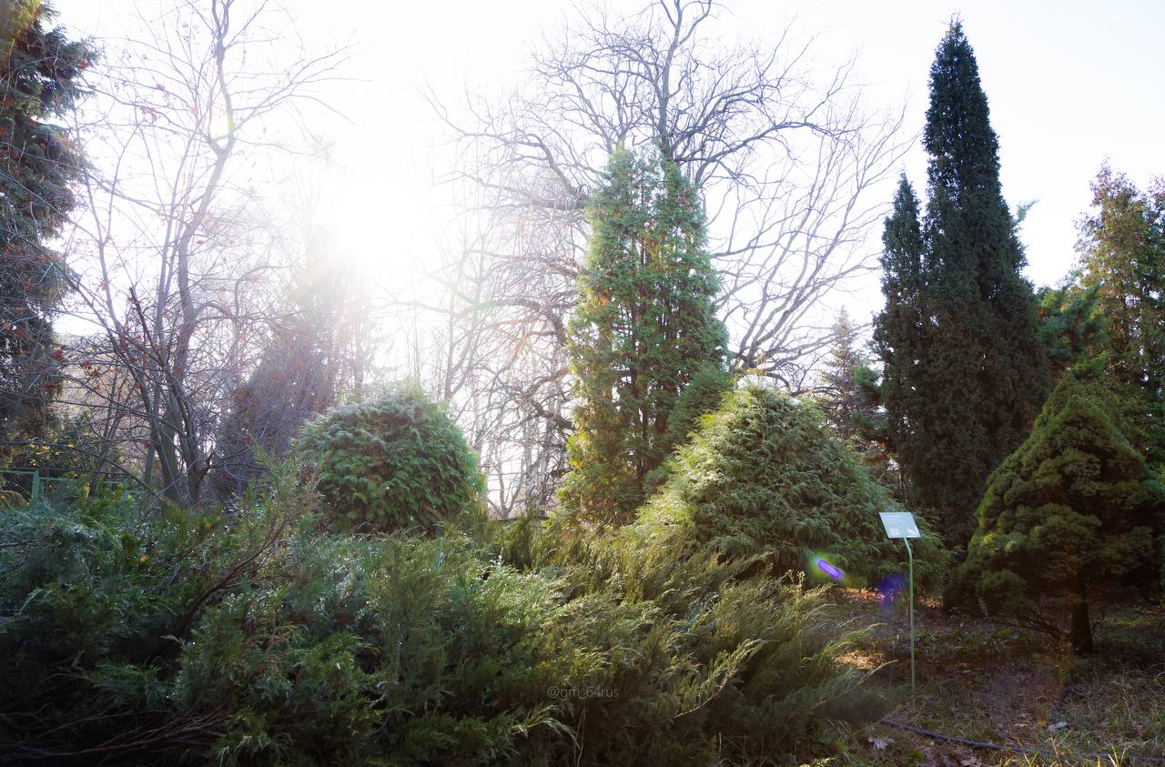 Более 2900 саратовцев посетили обновлённый Ботсад СГУ