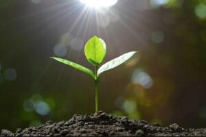 В Балаково завершился второй этап операции «Чистое поколение-2025»