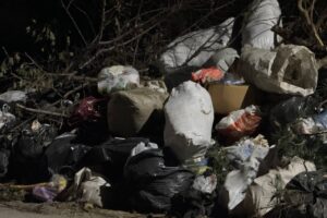 Депутат Госдумы потребовал проверить работу «Ситиматика» в Балаково и других городах