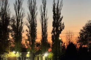 Погода на 6 ноября в Балаково. Дождливо