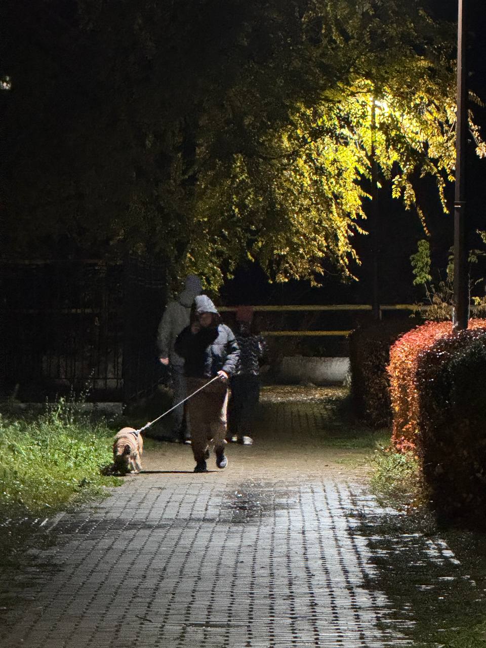 Погода на 9 ноября. В Балаково тихо и прохладно