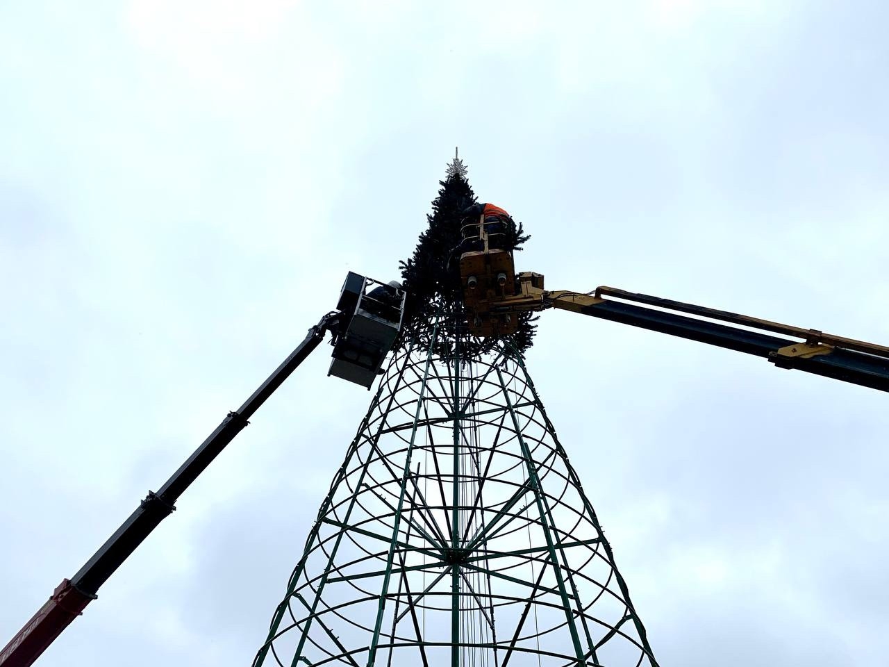 В парке Балаково вырос каркас будущей новогодней елки