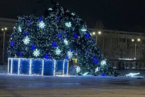 Сломанная ветром главная елка города стала символом буйства природы