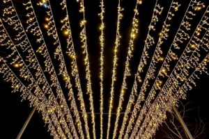 300 метров звёздного неба зажгли в Балаково