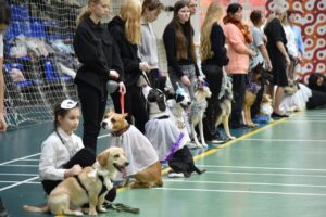 Костюмированный карнавал для собак и их хозяев прошёл в Балаково